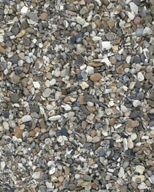 Shingle Friday Freebie