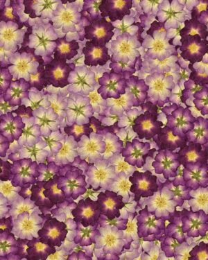 Purple Flowers Friday Freebie