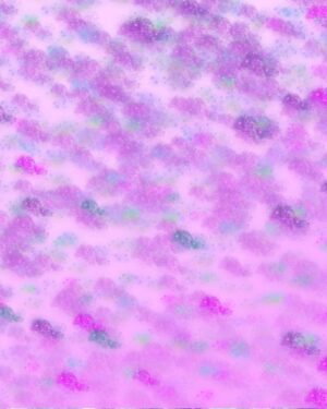 Spray Friday Freebie