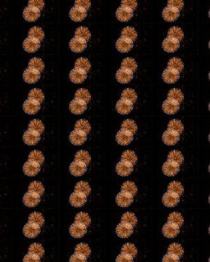 Starburst Friday Freebie