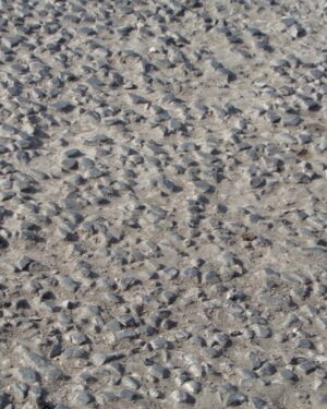 Gravel Friday Freebie