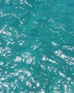 Cool Water Friday Freebie