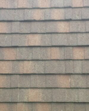 Tiles Friday Freebie