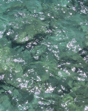 Crystal Waters Friday Freebie