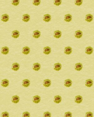 Conkers Friday Freebie Printable Paper