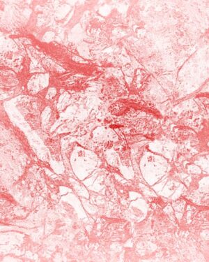 Texture Red Friday Freebie Printable Paper Download