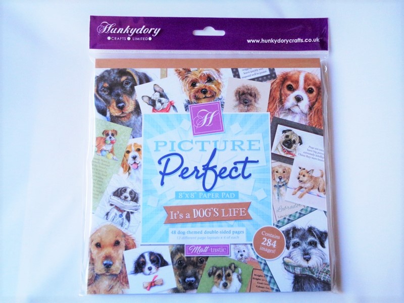 It's　–　a　Picture　Dog's　Life　Perfect　–　Downland　Crafts