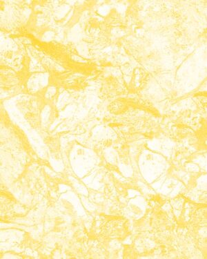 Texture Yellow Friday Freebie Printable Paper Download