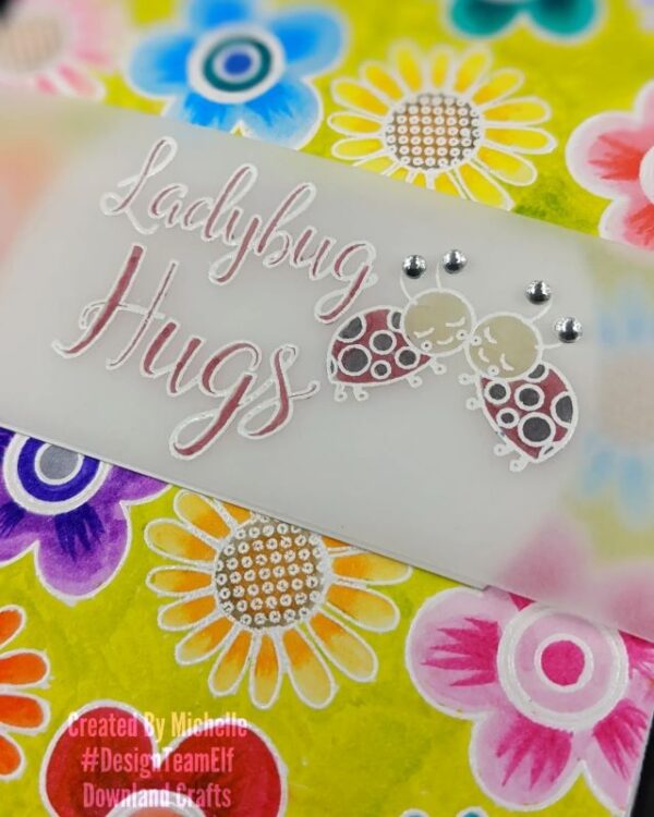 Ladybug Hugs A6 Stamp Set Card Sample