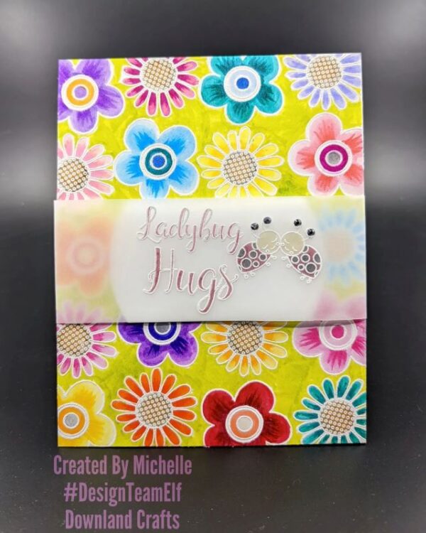 Ladybug Hugs A6 Stamp Set Card Sample