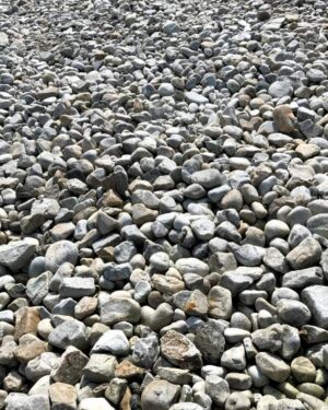 Pebble Beach Friday Freebie Printable Paper