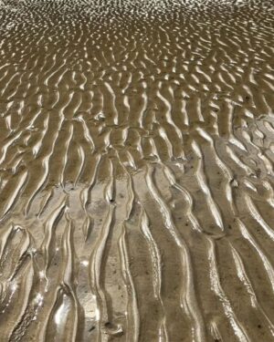 Wet Sand Friday Freebie Printable Paper Download