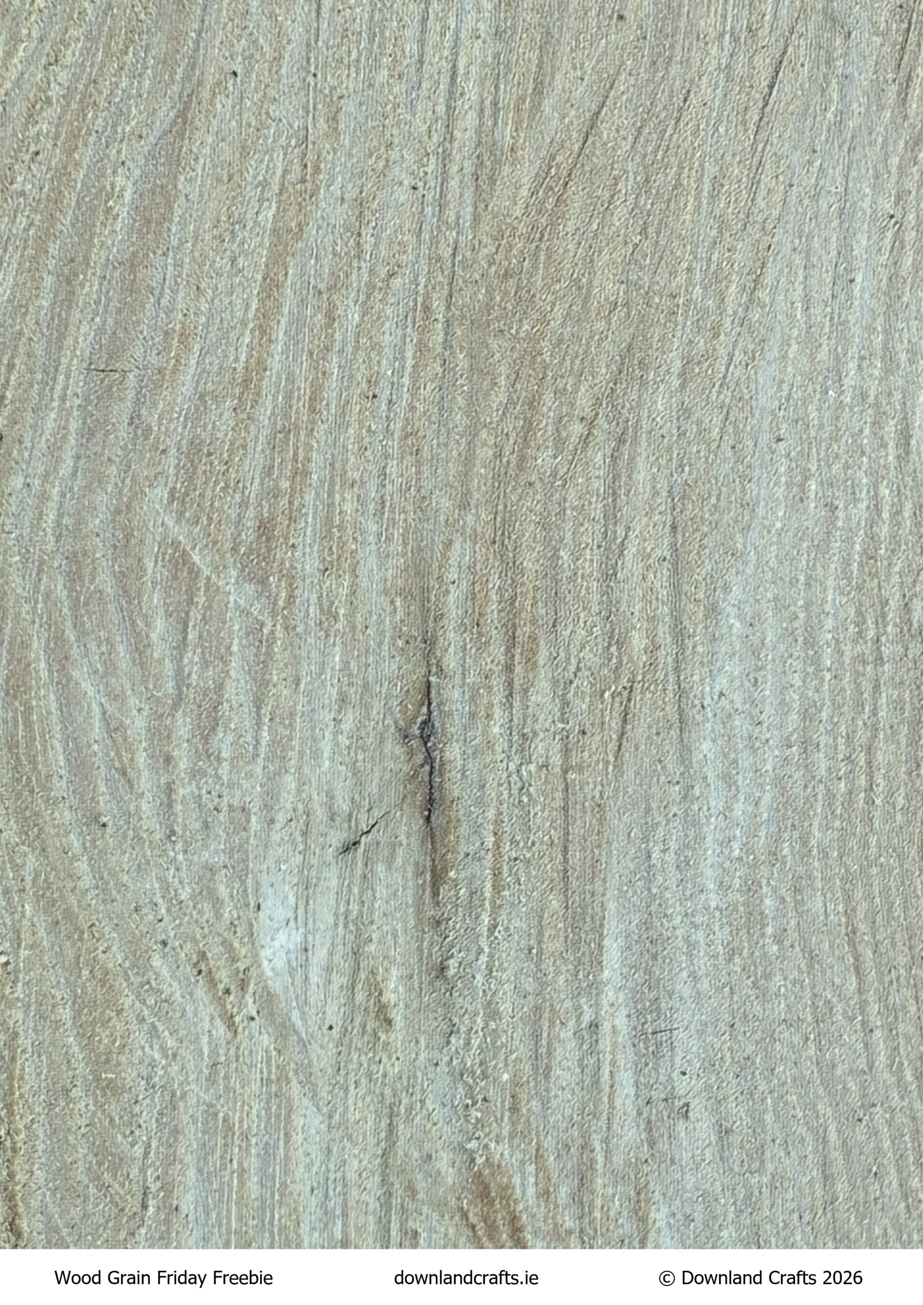 Wood Grain Friday Freebie is single A4 featuring a close up photograph of pale wood with lots of grain texture and a deep grain mark just off centre.